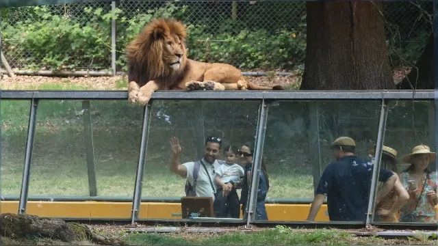 Visiteurs utilisant l’expérience E-motion au Safari de Thoiry